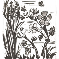 L'AVEILLE (L'ABEILLE)