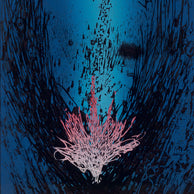 ČERVENÁ STRUKTURA I