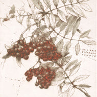 EX LIBRIS ŠTEPÁNKA TŮMOVÁ