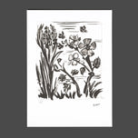 L'AVEILLE (L'ABEILLE)