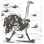 THE OSTRICH