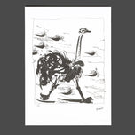 THE OSTRICH