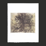 STUDY OF TREES