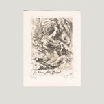 DÍVČÍ AKT S PTÁKY