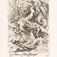 DÍVČÍ AKT S PTÁKY