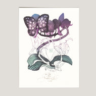 ORCHIDEJ MOTÝL
