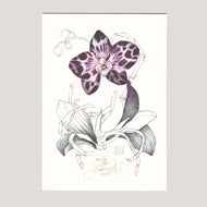ORCHIDEJ PANTER