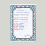 THE ARTIST'S GARDEN AT VÉTHEUIL