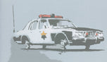 POLICE CAR