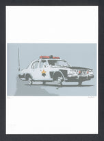 POLICE CAR