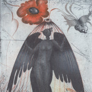 EX LIBRIS E. WERNER