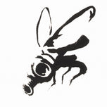 GAS MASK FLY