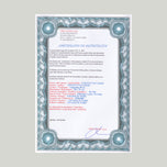 VASE WITH IRISES AGAINST A YELLOW BACKGROUND