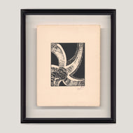 PŘÍBĚHY BÍLÉ A ČERNÉ / HVĚZDICE